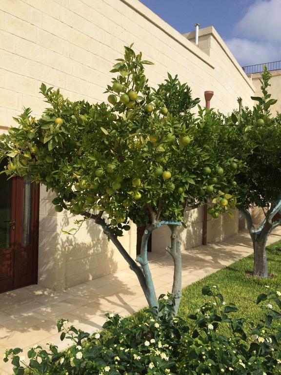 Masseria San Polo 스퀸자노 외부 사진