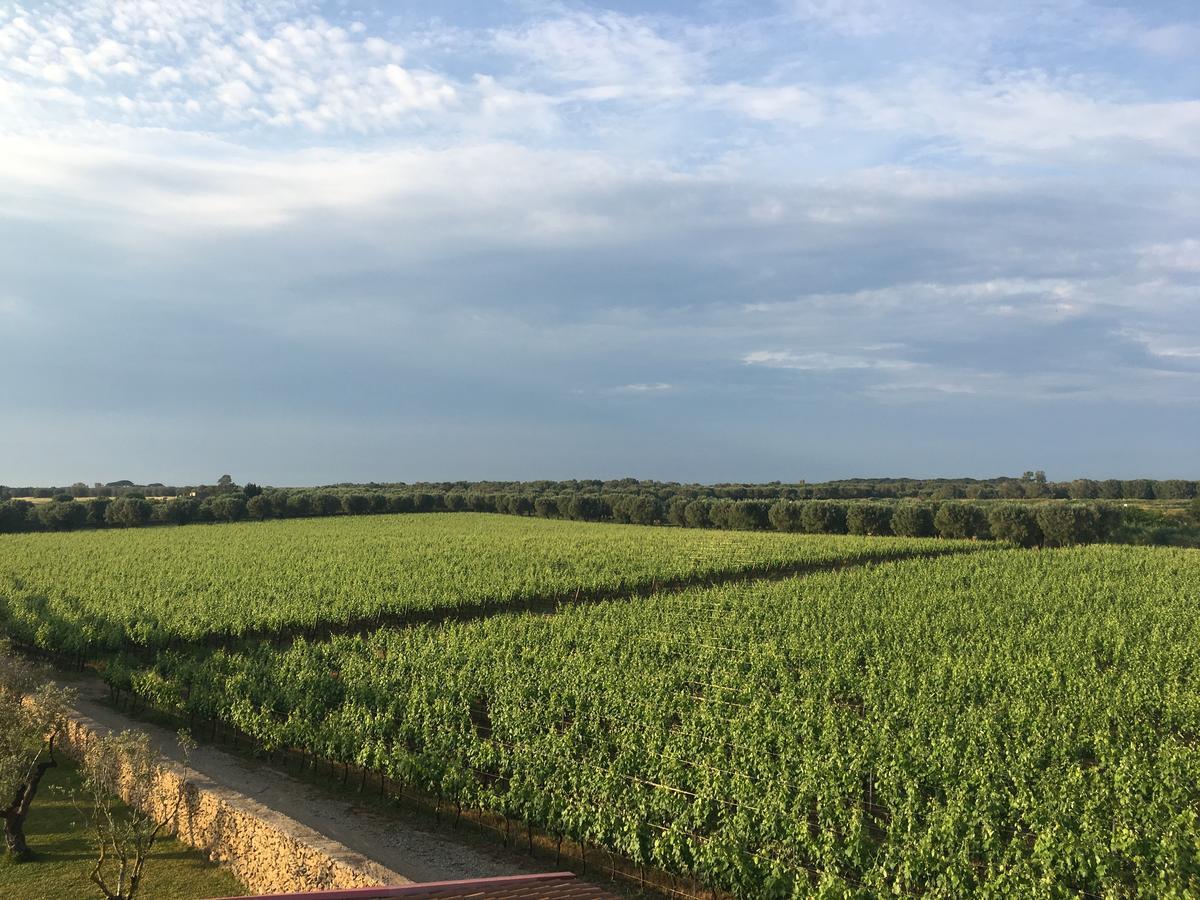 Masseria San Polo 스퀸자노 외부 사진
